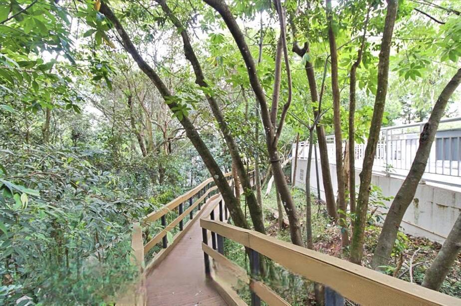 Apartamento, 1 quarto, 65 m² - Foto 40