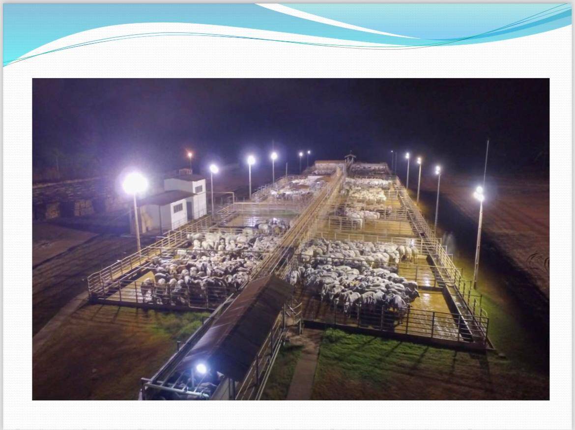 Depósito-Galpão, 19000 m² - Foto 16