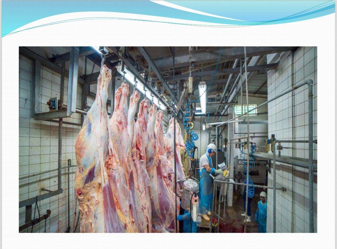 Depósito-Galpão, 19000 m² - Foto 17