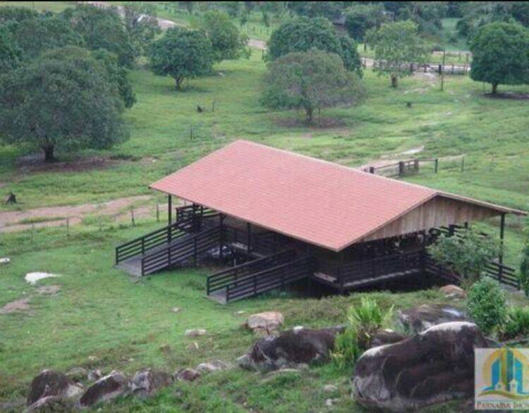 Terreno, 10 hectares - Foto 31