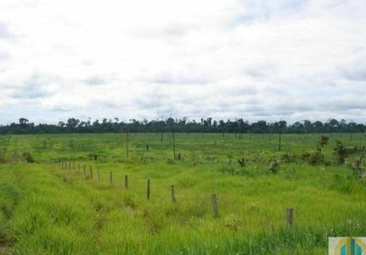 Terreno, 10 hectares - Foto 29