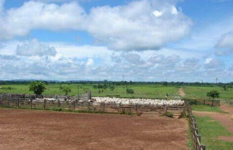 Terreno, 10 hectares - Foto 26