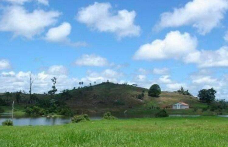 Terreno, 10 hectares - Foto 24