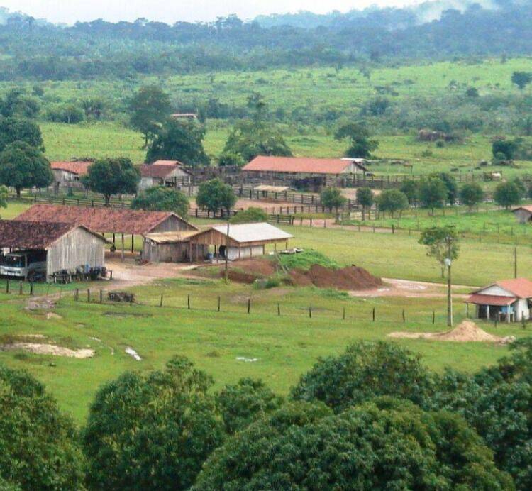 Terreno, 10 hectares - Foto 23