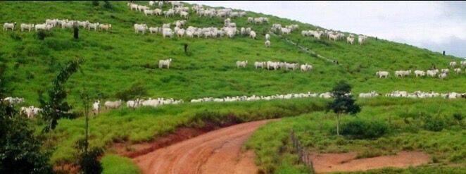 Terreno, 10 hectares - Foto 22