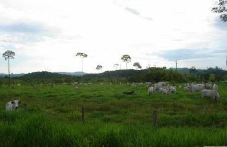 Terreno, 10 hectares - Foto 28