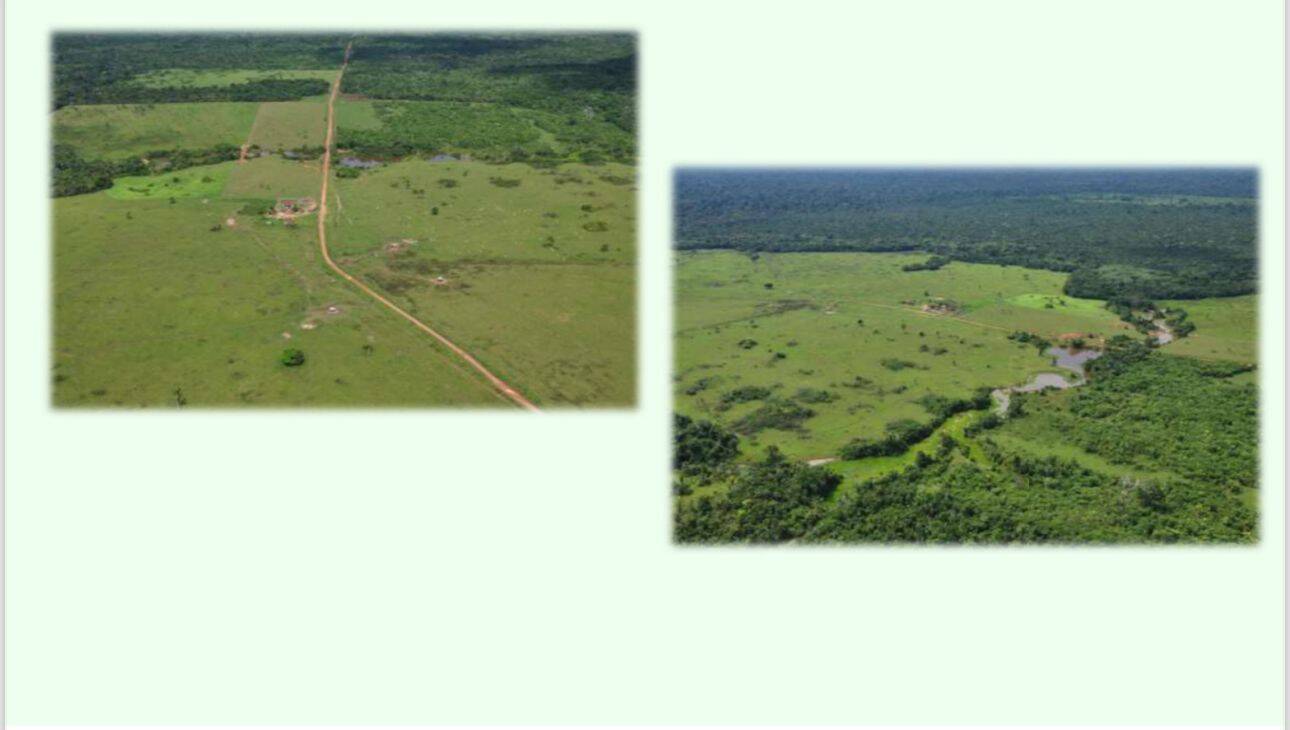 Terreno, 10 hectares - Foto 20