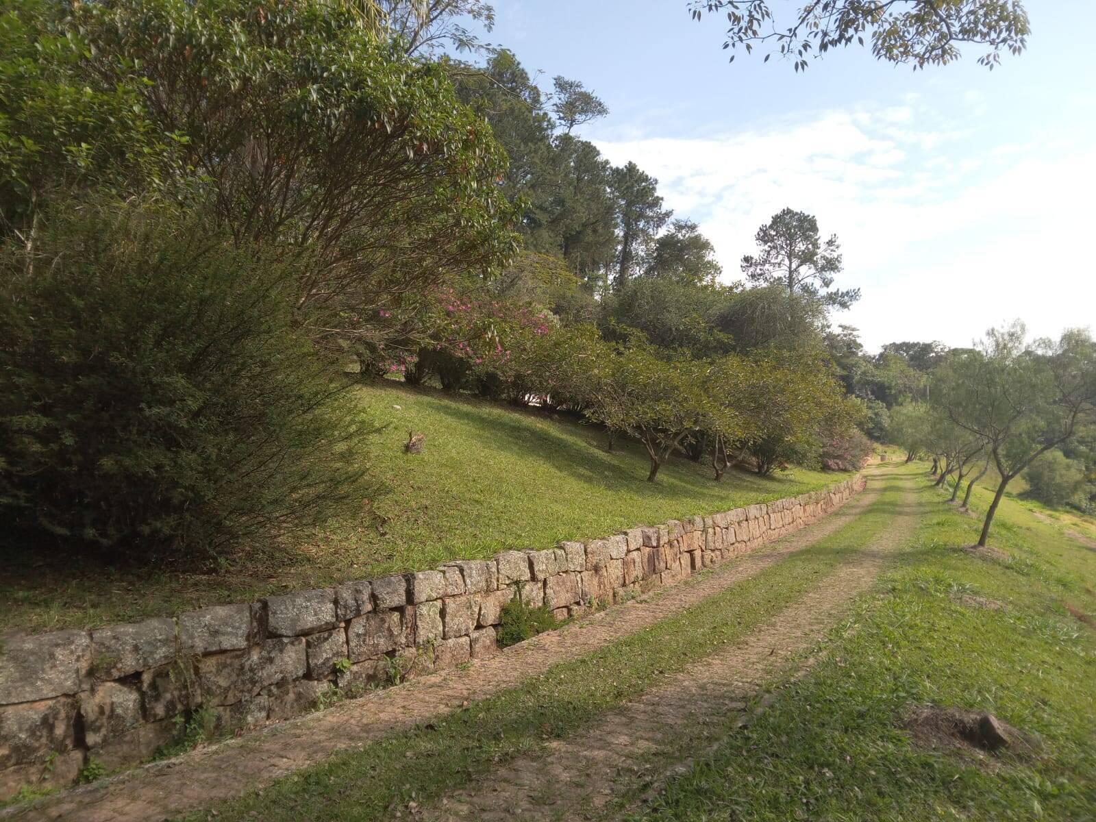 Terreno, 99 m² - Foto 36