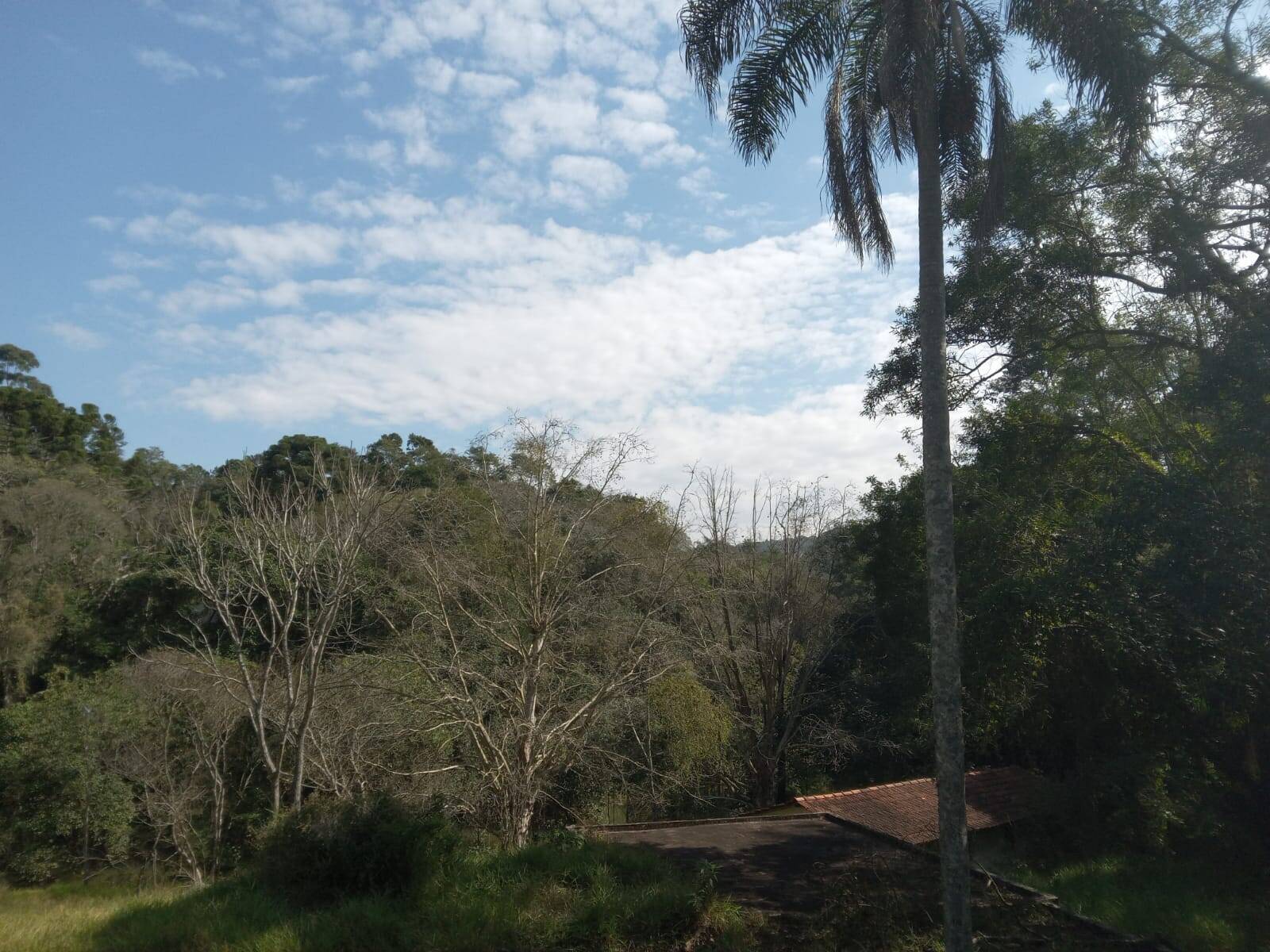 Terreno, 99 m² - Foto 38