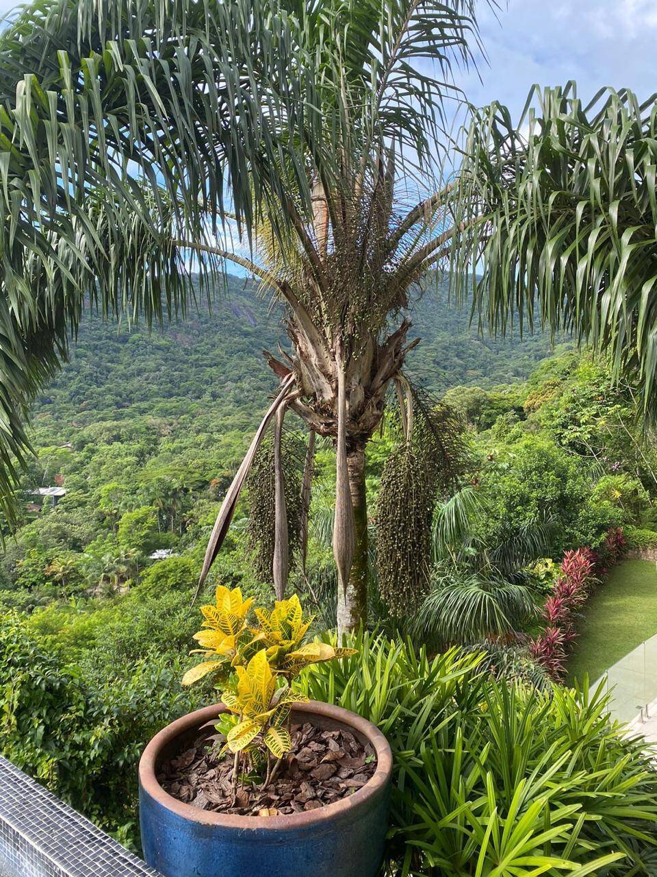 Casa, 1200 m² - Foto 36