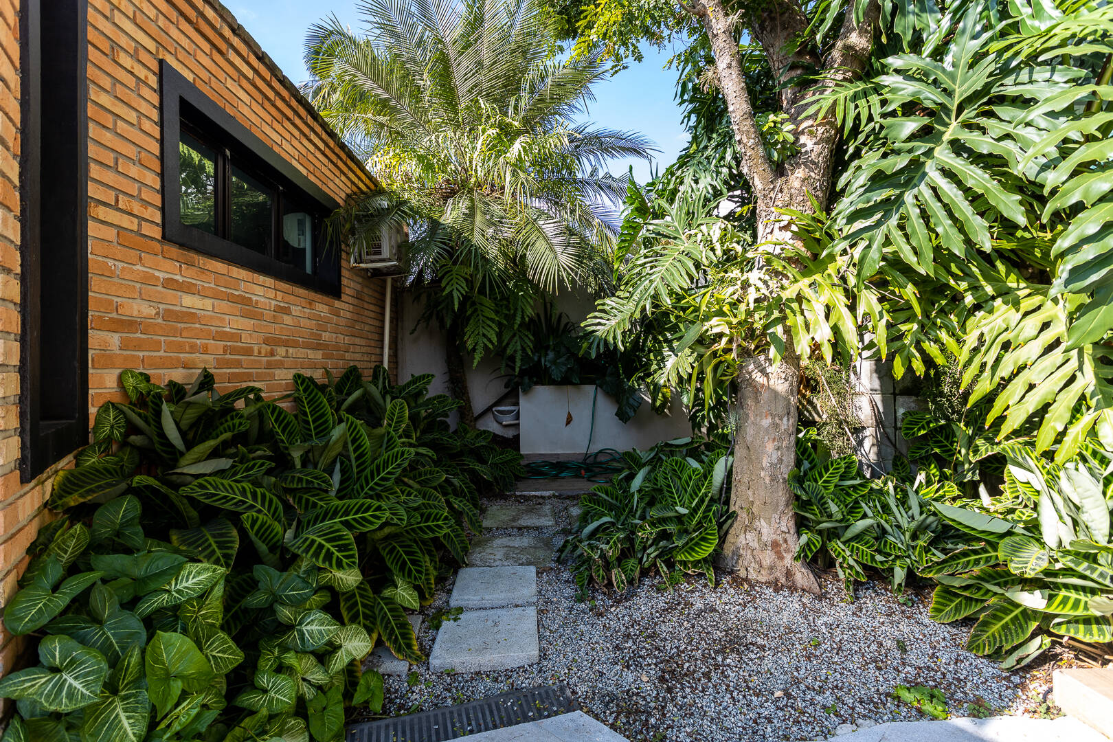 Casa, 3 quartos, 282 m² - Foto 40