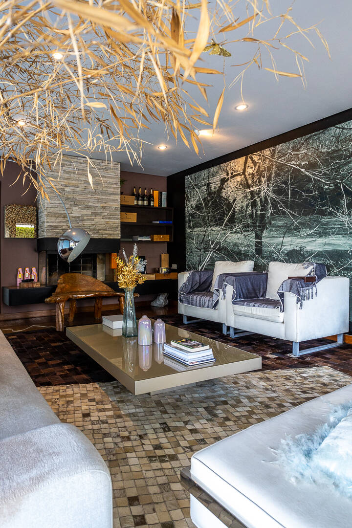 Casa, 5 quartos, 530 m² - Foto 18