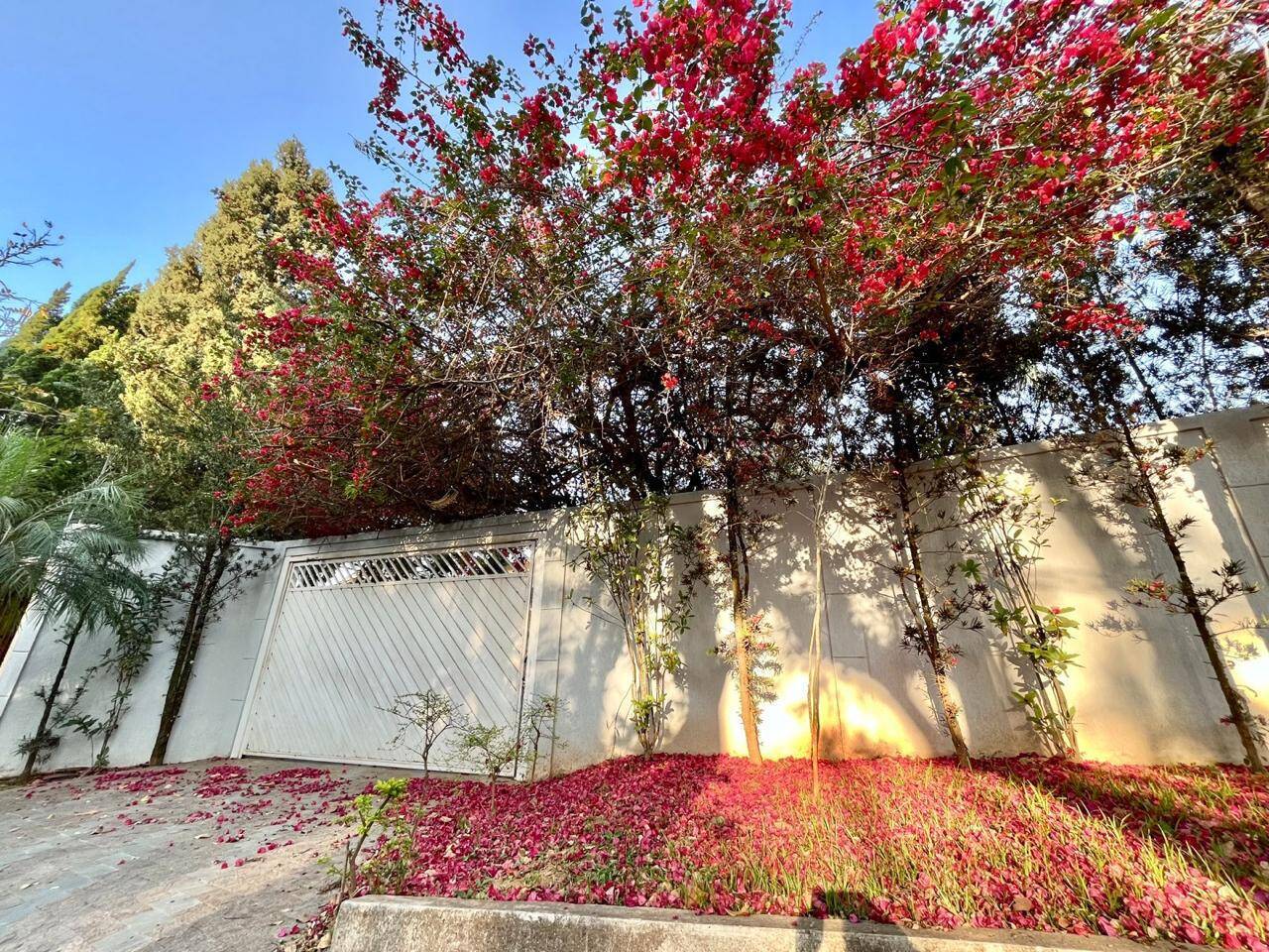 Casa, 4 quartos, 240 m² - Foto 45