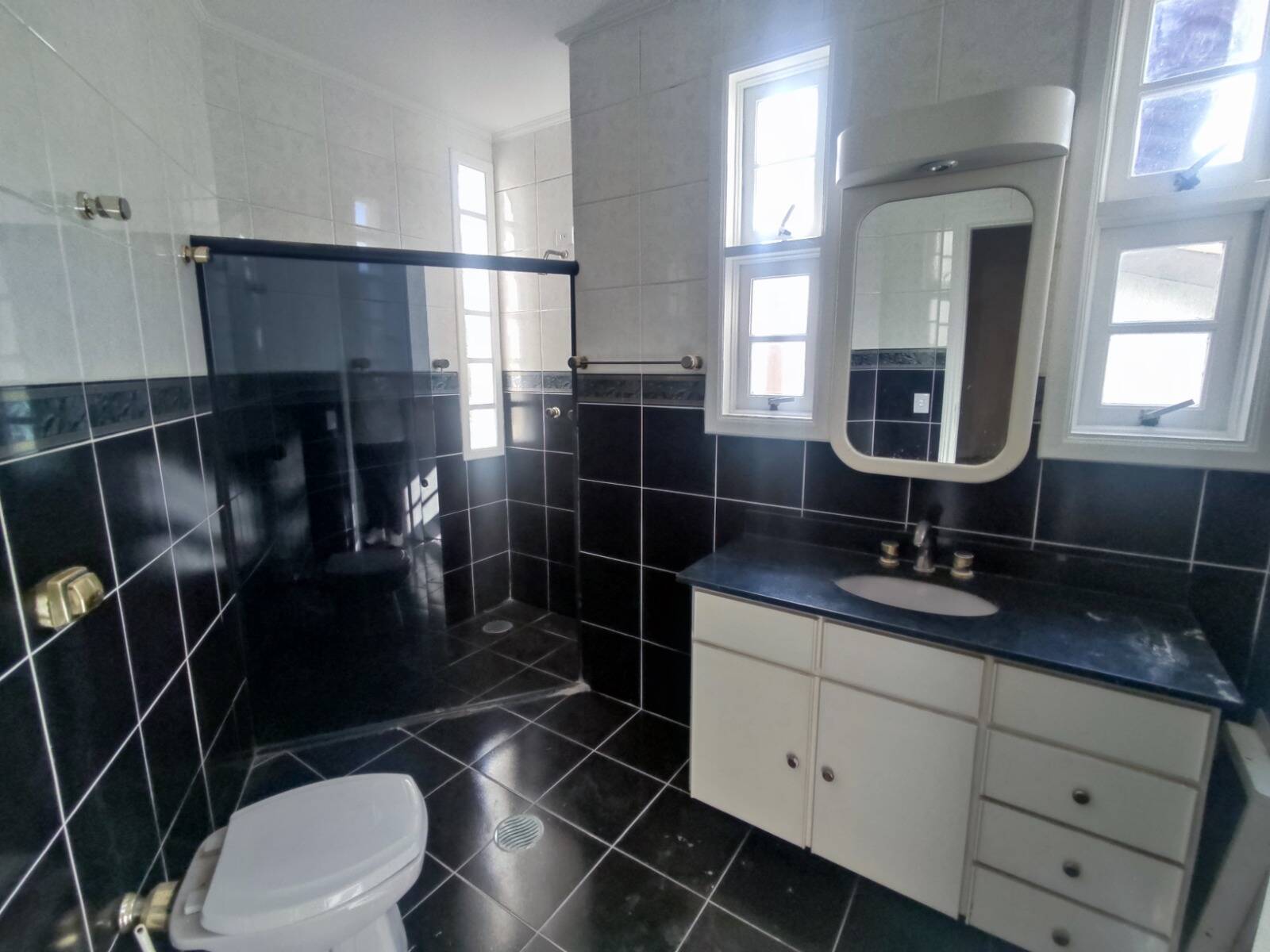 Casa, 4 quartos, 465 m² - Foto 19
