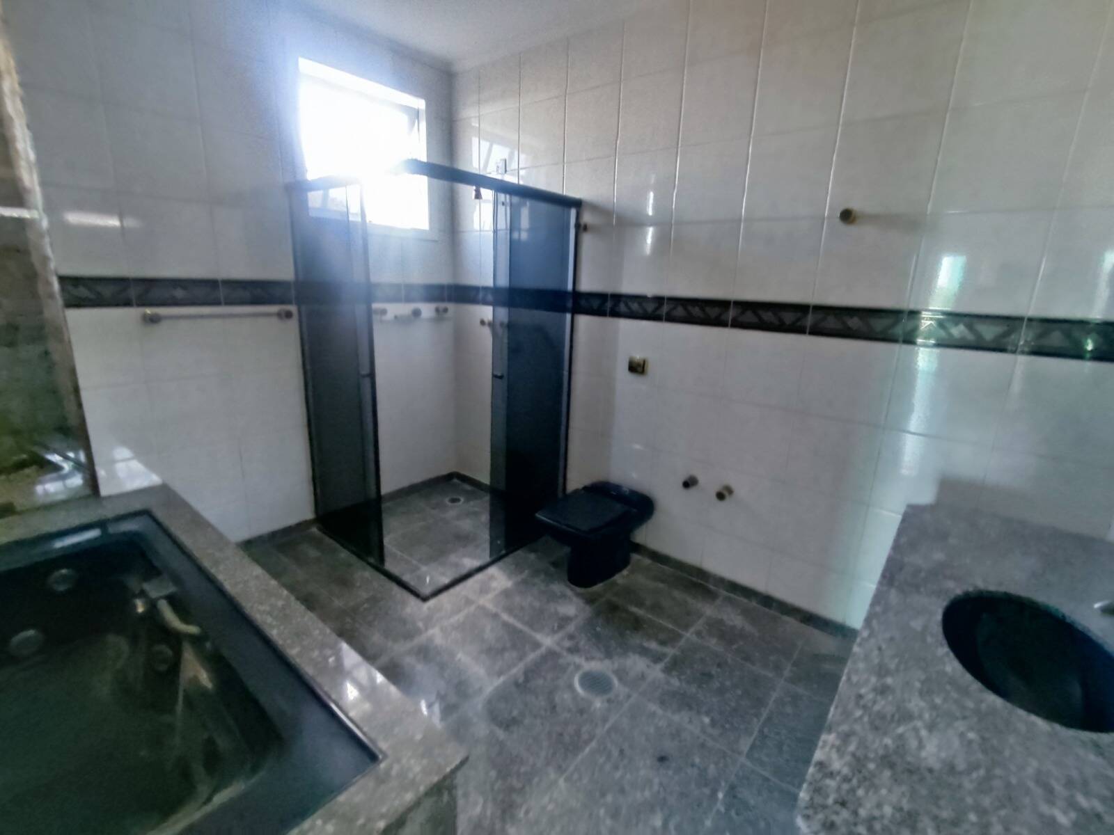 Casa, 4 quartos, 465 m² - Foto 28