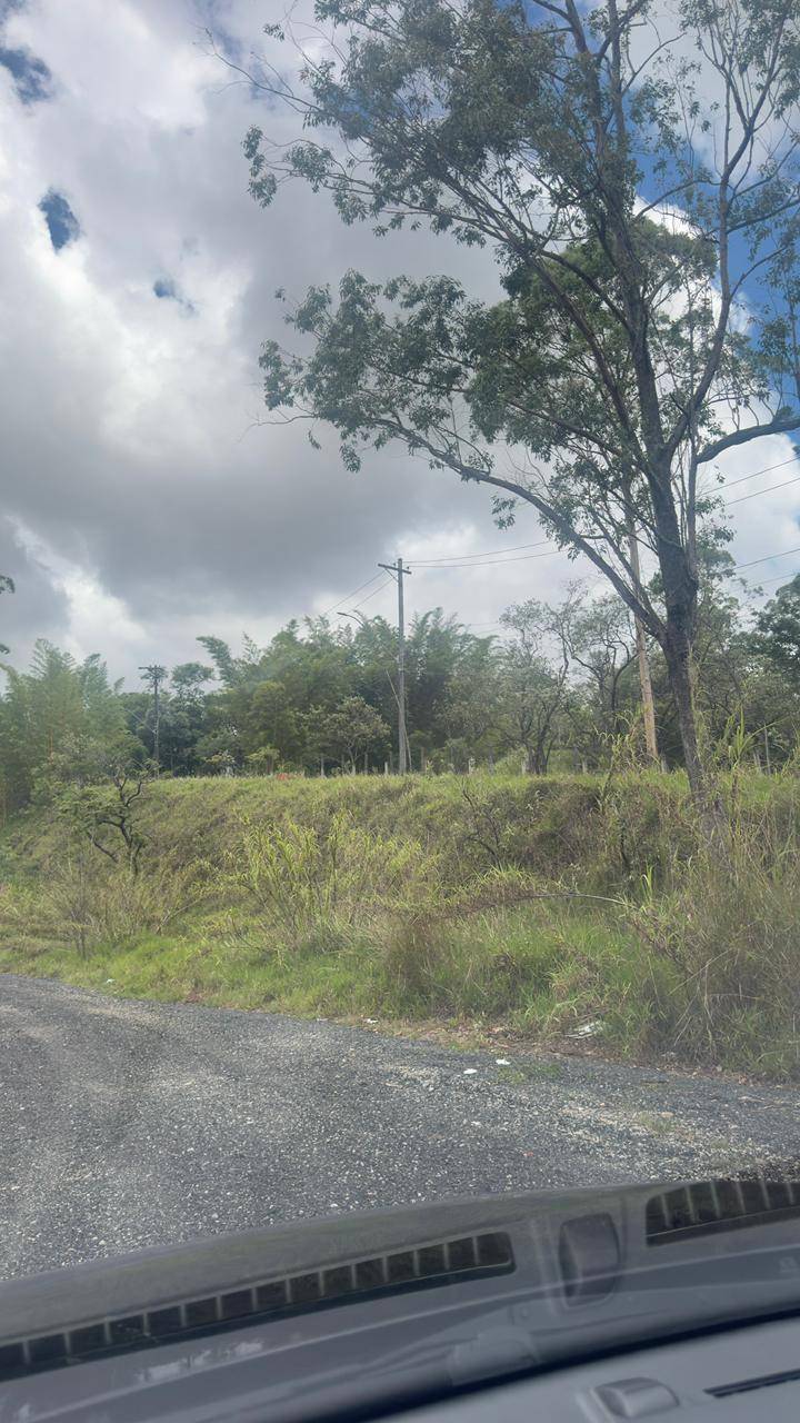 Terreno, 4 hectares - Foto 20