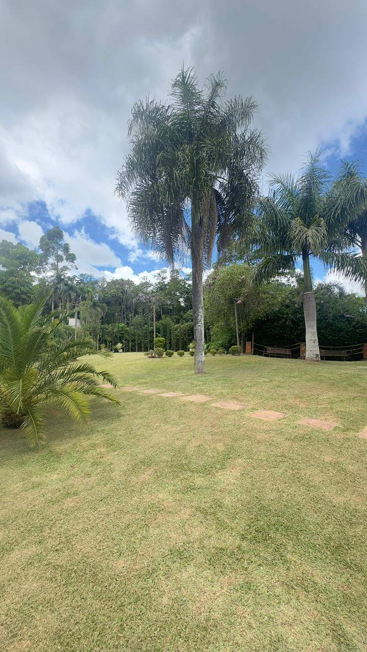 Terreno, 4 hectares - Foto 24