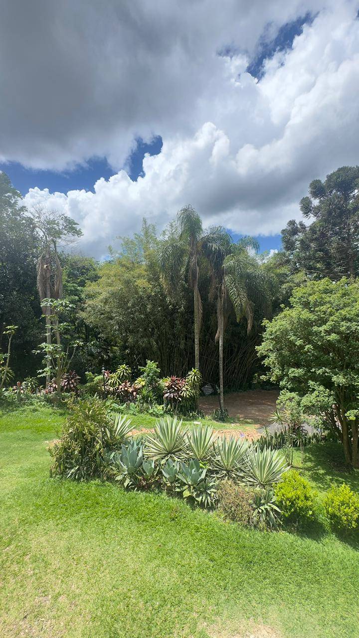 Terreno, 4 hectares - Foto 33