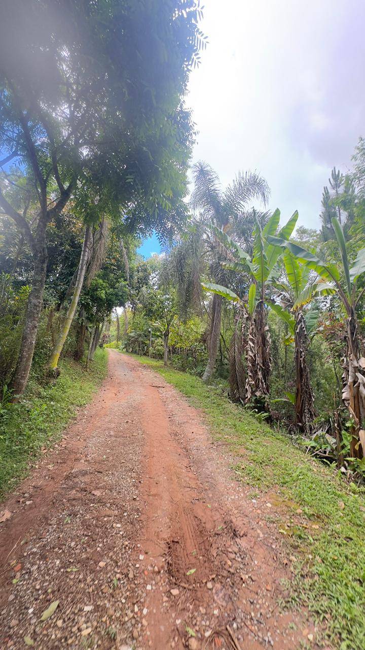 Terreno, 4 hectares - Foto 29