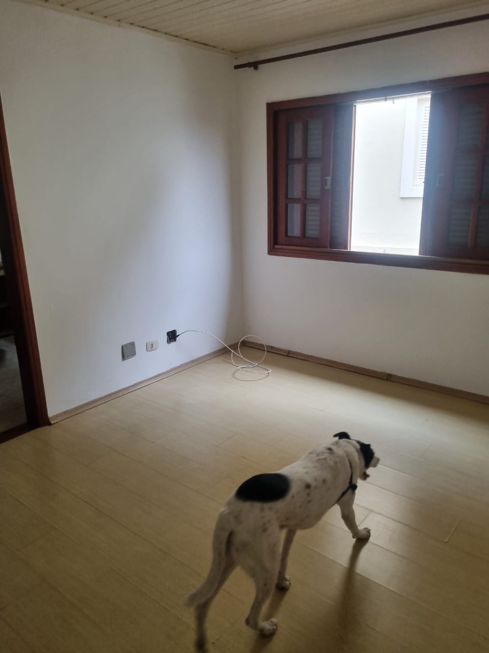 Casa, 3 quartos, 396 m² - Foto 20