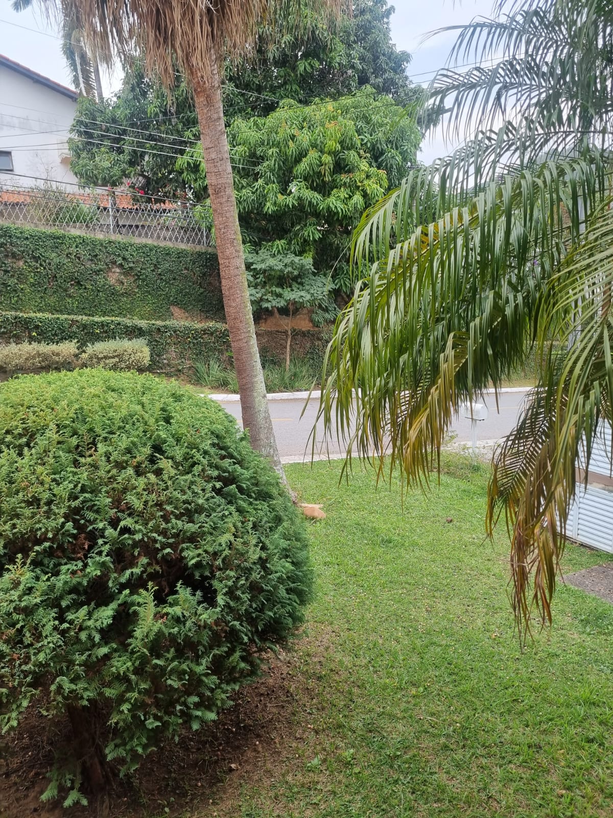 Casa, 3 quartos, 396 m² - Foto 25