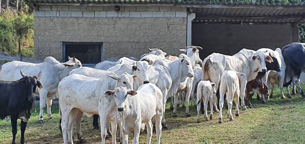 Terreno, 140 m² - Foto 18