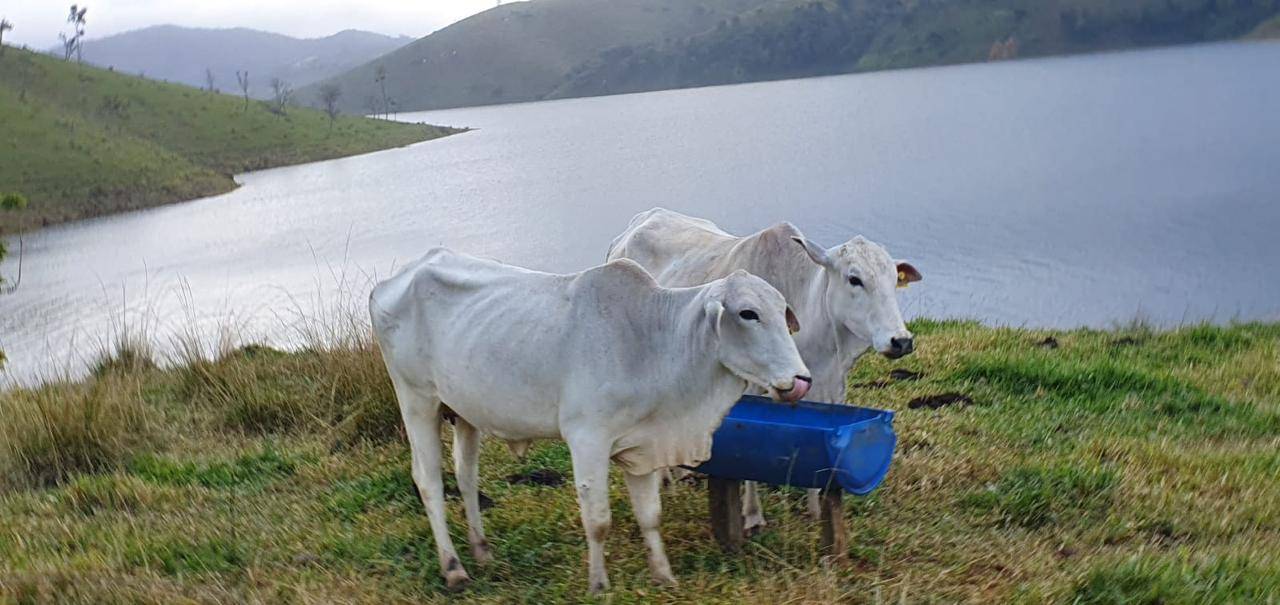 Terreno, 140 m² - Foto 26