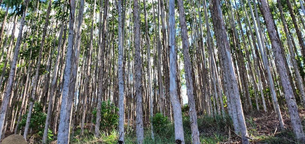 Terreno, 140 m² - Foto 28