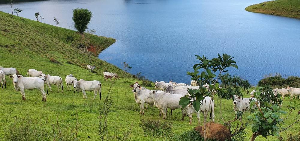 Terreno, 140 m² - Foto 25