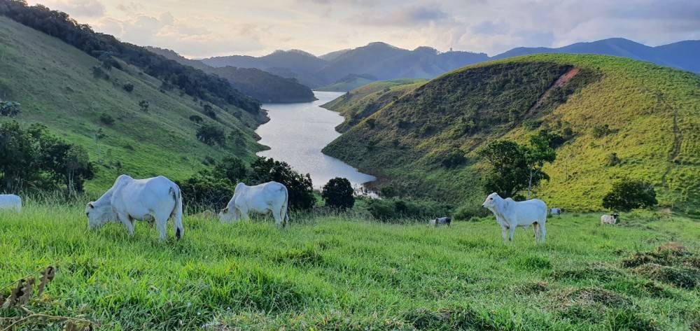 Terreno, 140 m² - Foto 31