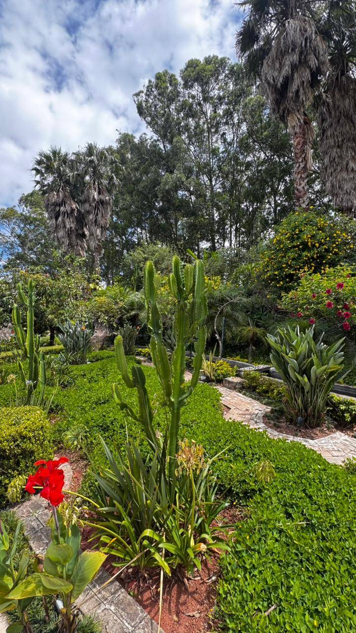 Casa, 1840 m² - Foto 44