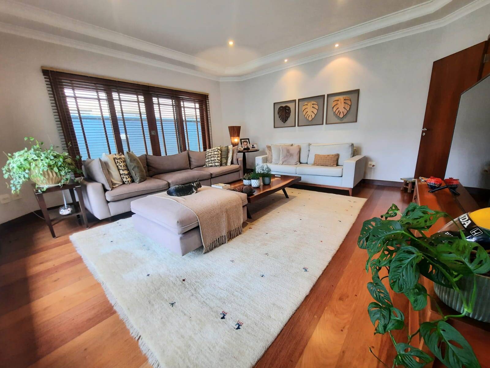 Casa, 4 quartos, 385 m² - Foto 20