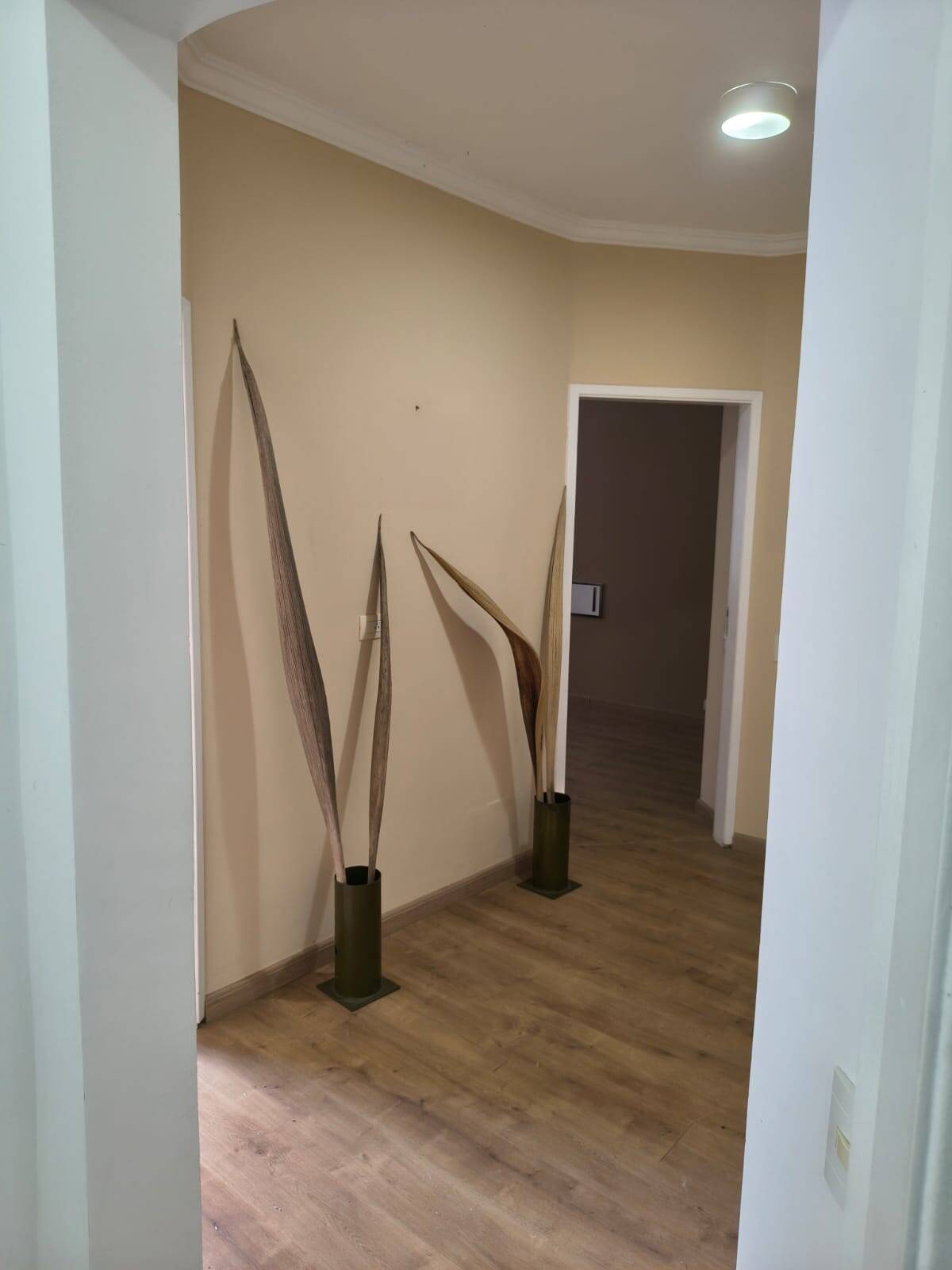 Casa, 3 quartos, 302 m² - Foto 18