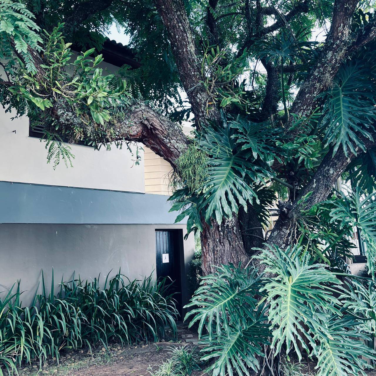 Casa, 4 quartos, 300 m² - Foto 68