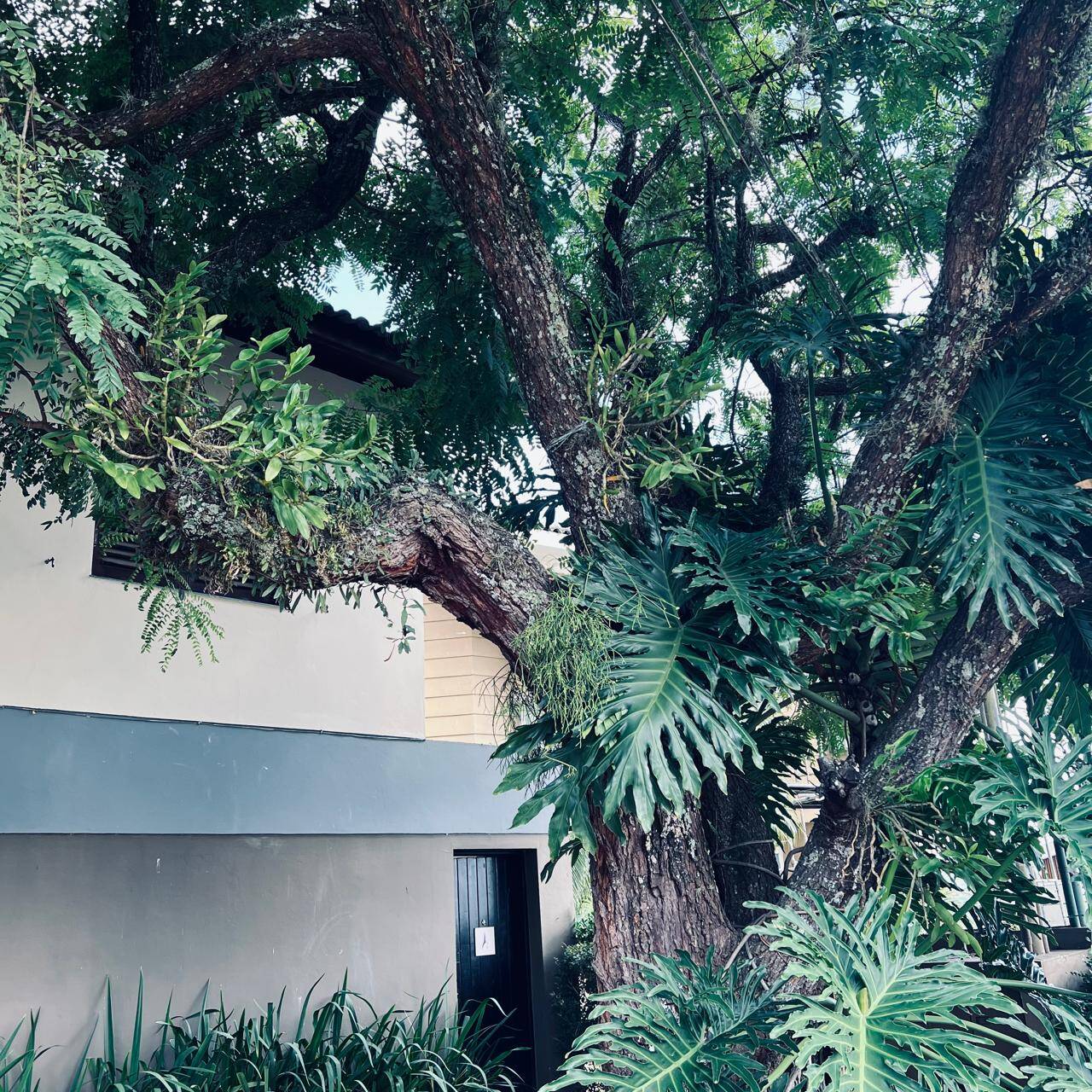 Casa, 4 quartos, 300 m² - Foto 67