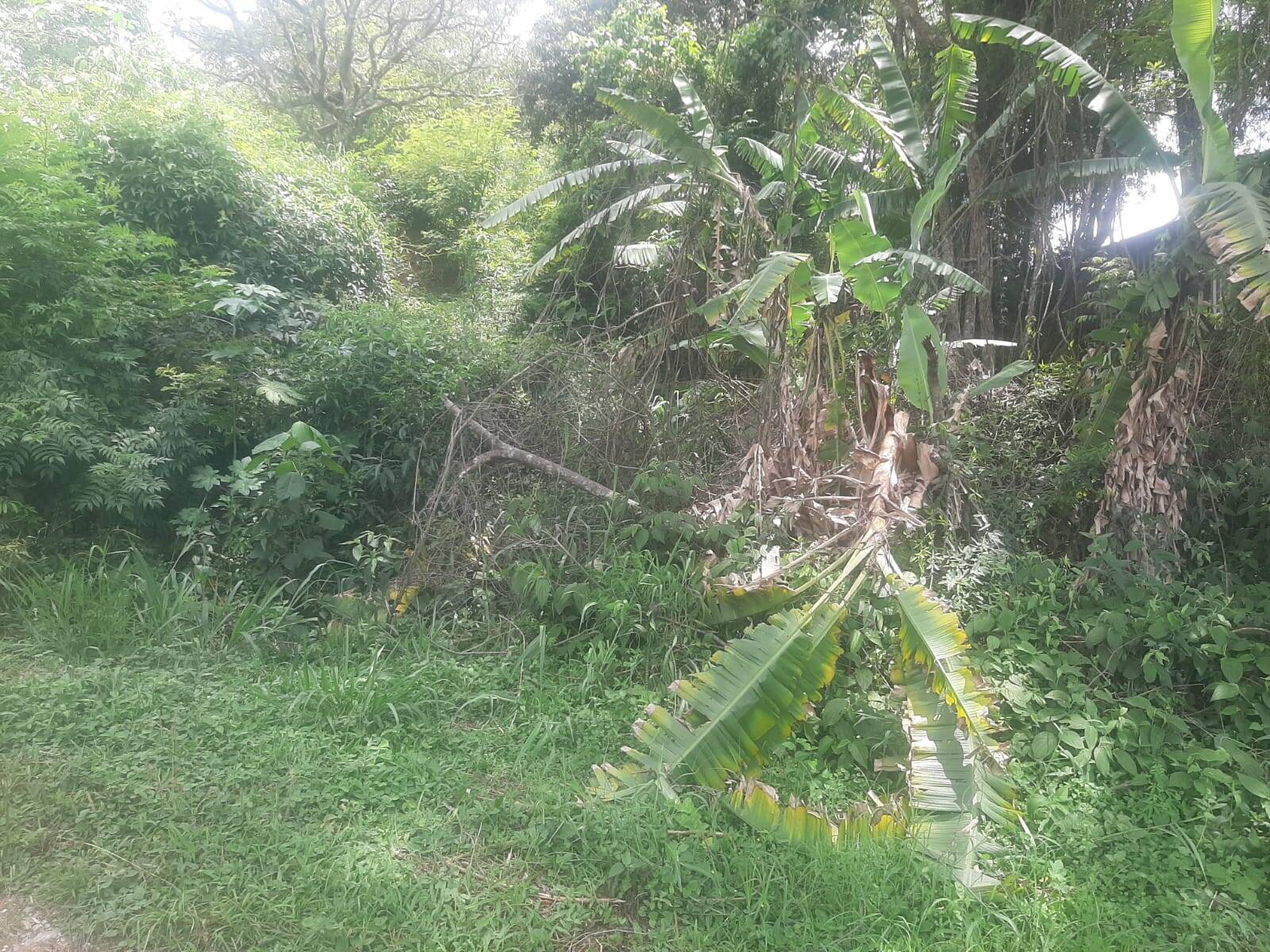 Foto 6