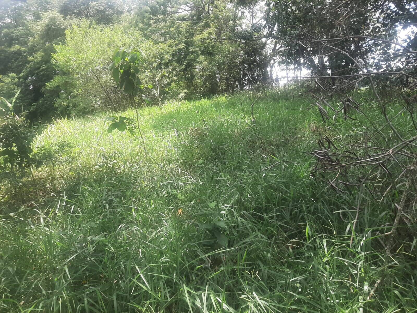 Foto 10