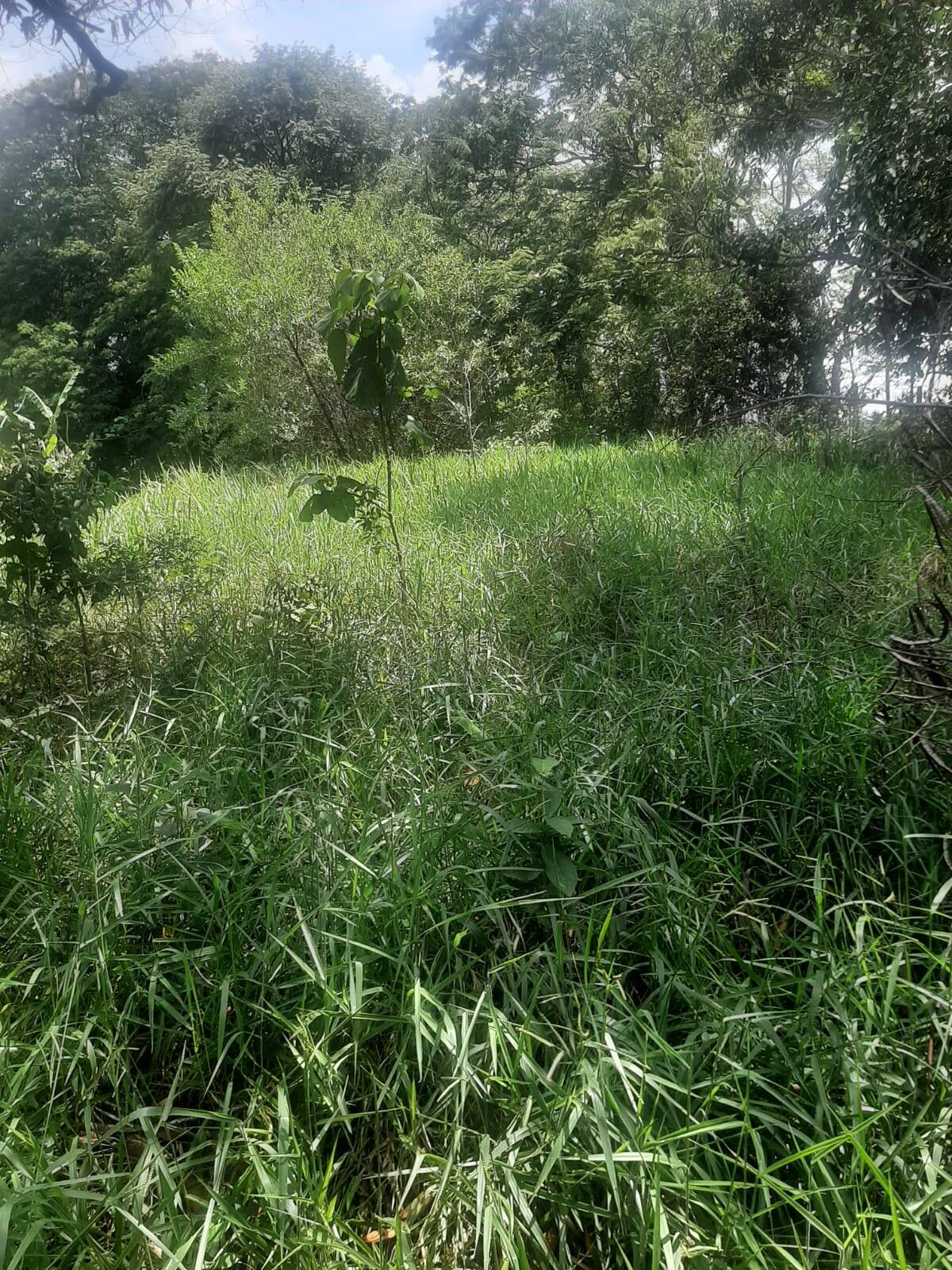Foto 11