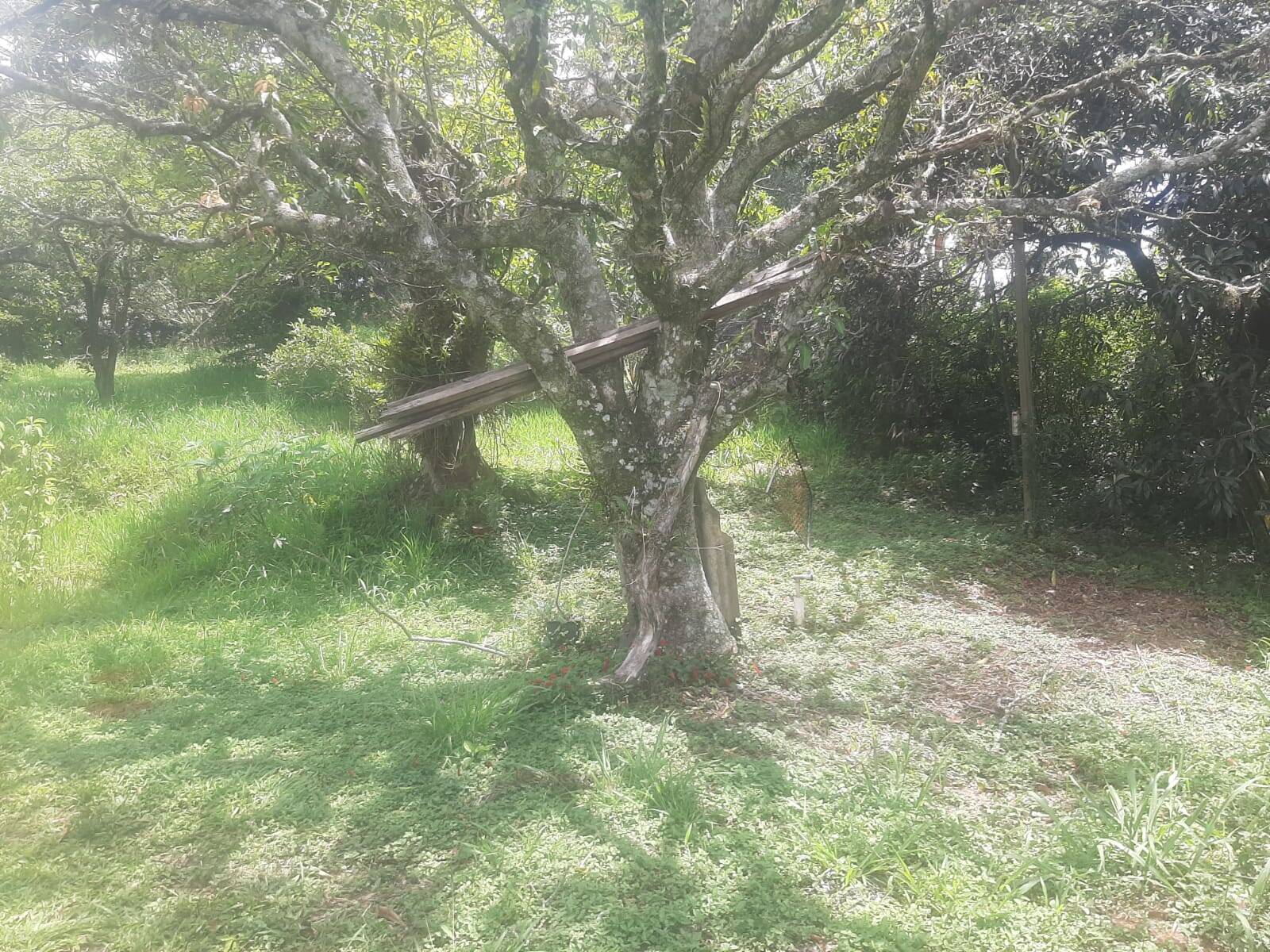 Foto 13