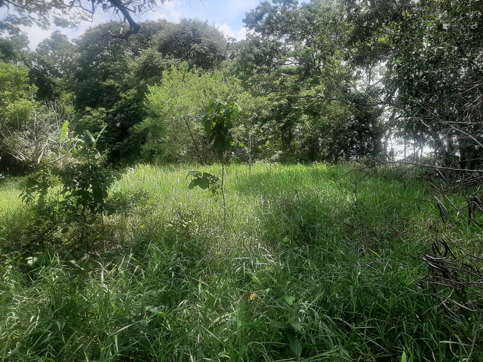 Foto 14