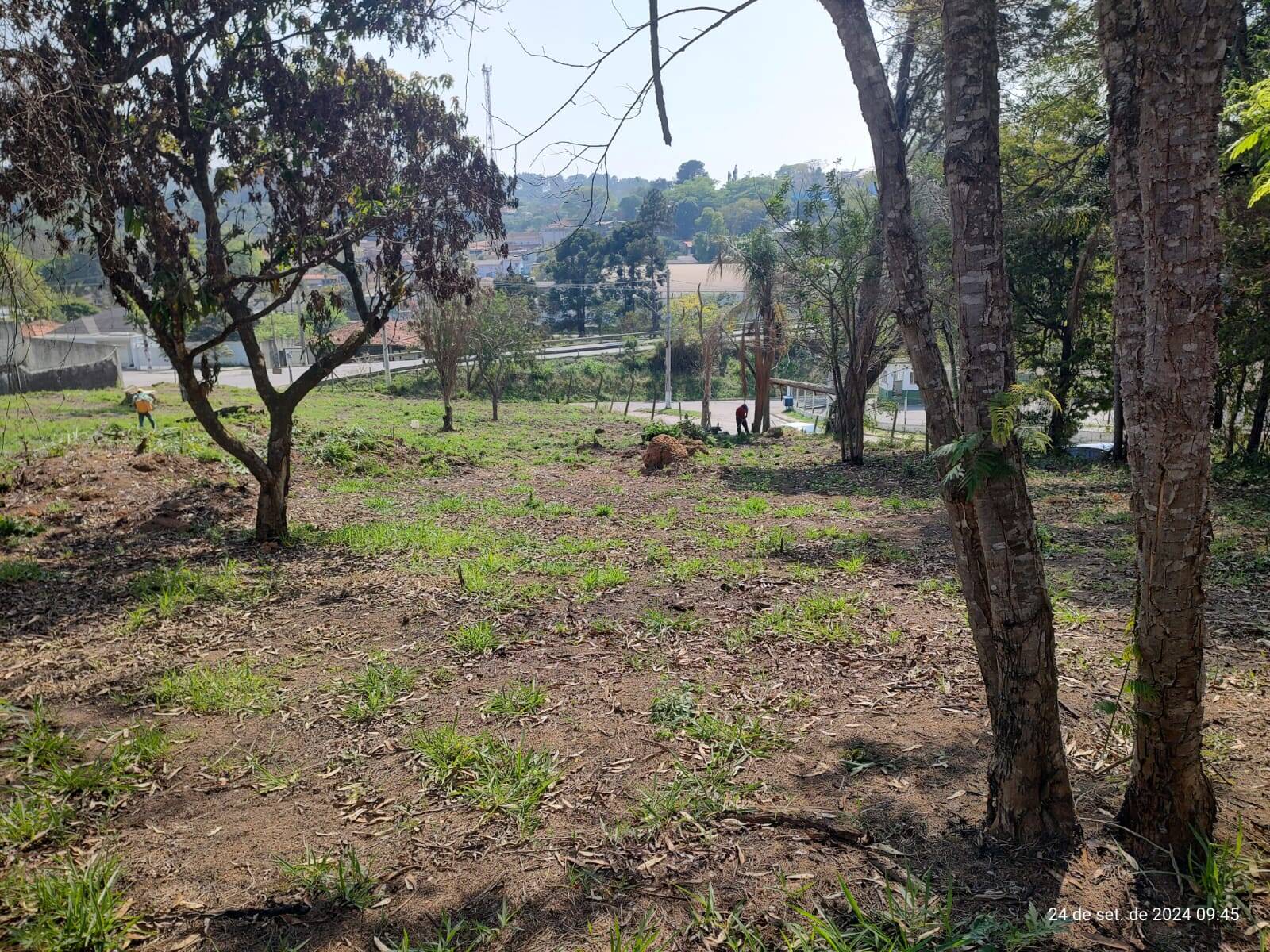 Terreno, 7800 m² - Foto 7