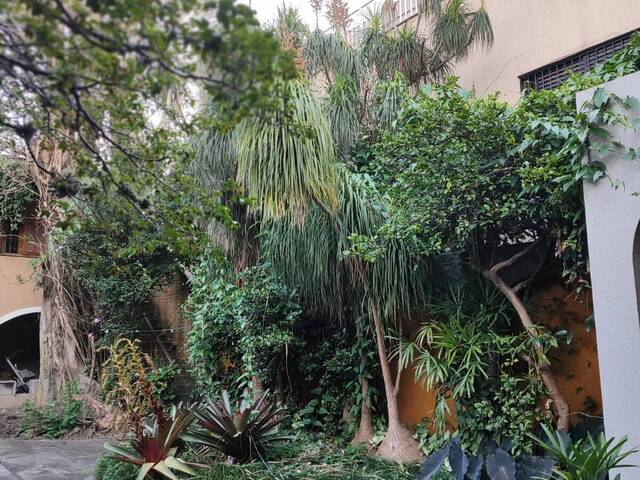 #383 - Casa para Locação em São Paulo - SP - 2