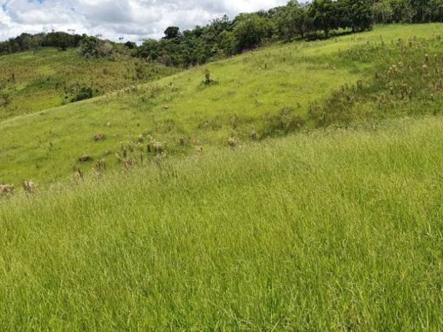 #617 - Chácara para Venda em Paraibuna - SP