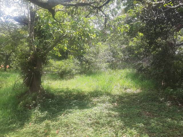 #663 - Área para Venda em São Roque - SP