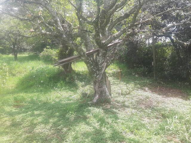 #663 - Área para Venda em São Roque - SP