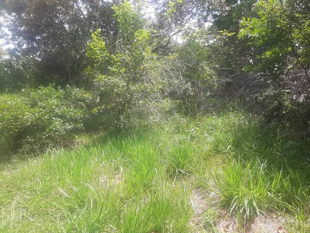 Área para Venda em São Roque - 4