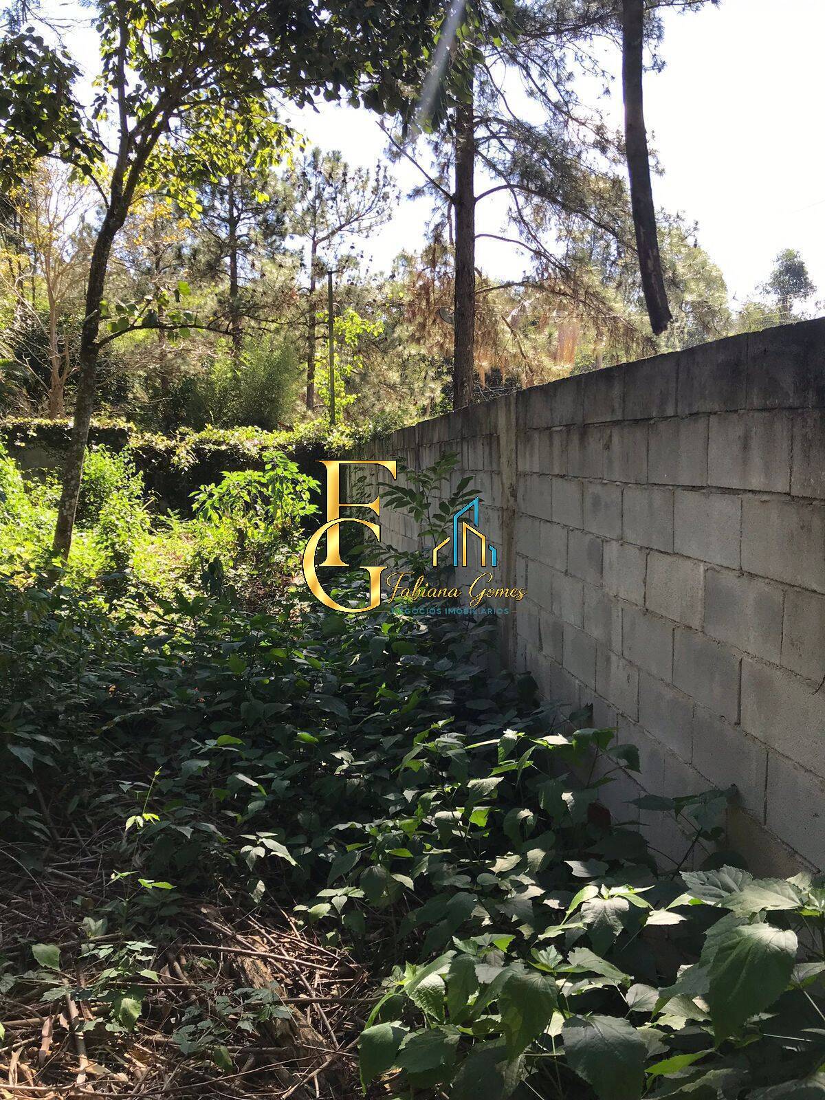 Terreno, 1000 m² - Foto 5