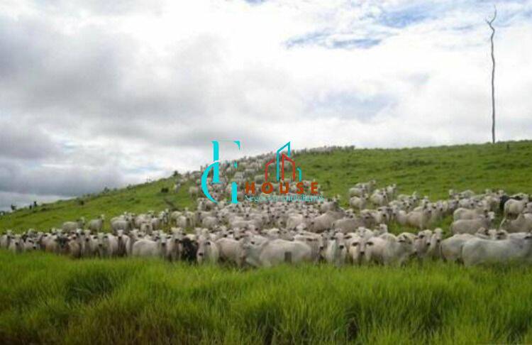 Terreno, 10 hectares - Foto 30