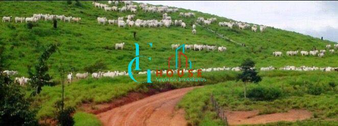 Terreno, 10 hectares - Foto 22