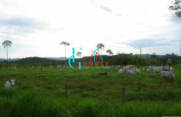 Terreno, 10 hectares - Foto 28